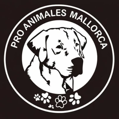 Centro Veterinario de Baleares