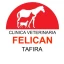 Clínica Veterinaria Felicán Tafira