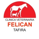 Clínica Veterinaria Felicán Tafira