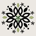Eventos de Seda