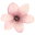 Floristería los Pinos
