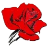 Floristería Miguel