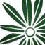 Floristería Verde y Rosa