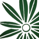Floristería Verde y Rosa
