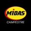 Grupo Midas