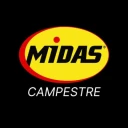 Grupo Midas