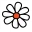 Jerez Floral