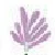 Muscari Floristería Chabrera