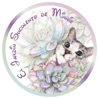 El Jardín Suculento de Minnie