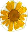 Rocío Artesanías