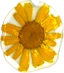 Rocío Artesanías