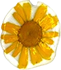 Rocío Artesanías