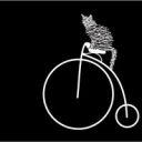 Un gato en bicicleta
