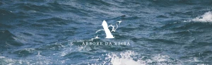 Árbore Da Veira