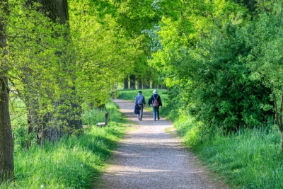 Camino de Ampudia