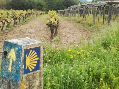 Camino de la Peña del Diablo