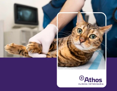 Clínica Veterinaria Athos