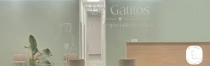 Degatitos: Clínica Veterinaria Cat Friendly
