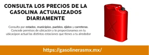 Gasolinera Carrefour