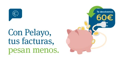 Pelayo Seguros