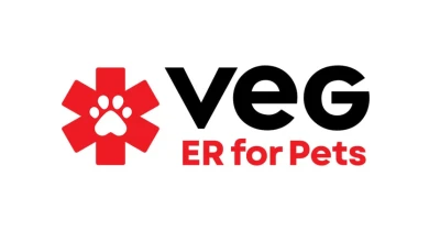 Veg World India